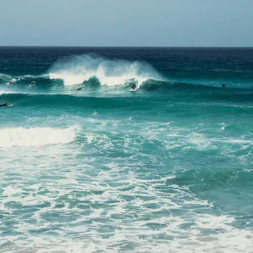 jack-swords-humWpjfVJgQ-unsplashsurf spot_result